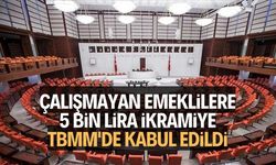 Çalışmayan emeklilere 5 bin lira ikramiye TBMM'de kabul edildi