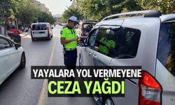 Yaya önceliği ve güvenliğine uymayanlara ceza yağdı