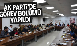 AK PARTİ’DE GÖREV BÖLÜMÜ YAPILDI 