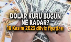 DOLAR KURU BUGÜN NE KADAR? 16 Kasım 2023 dolar - euro fiyatları