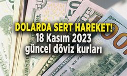 DOLARDA SERT HAREKET! 18 Kasım 2023 güncel döviz kurları