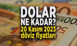 DOLAR FİYATI NE KADAR? 20 Kasım 2023 döviz fiyatları