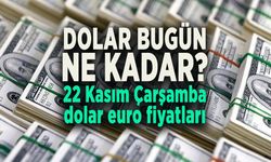 DOLAR BUGÜN NE KADAR? 22 Kasım Çarşamba dolar Euro fiyatları