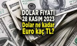 DOLAR FİYATI 28 KASIM 2023 Dolar ne kadar euro kaç TL?
