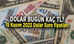 DOLAR BUGÜN KAÇ TL?  15 Kasım 2023 Dolar Euro fiyatları