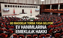 80 maddelik torba yasa geliyor  