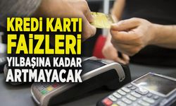 KREDİ KARTI FAİZLERİ YILBAŞINA KADAR ARTMAYACAK