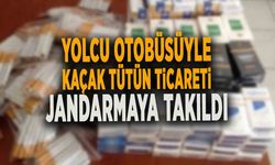 YOLCU OTOBÜSÜYLE KAÇAK TÜTÜN TİCARETİ JANDARMAYA TAKILDI