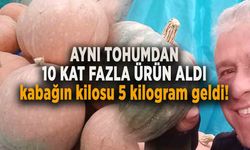 AYNI TOHUMDAN 10 KAT FAZLA ÜRÜN ALDI