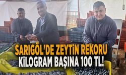 SARIGÖL'DE ZEYTİN REKORU KİLOGRAM BAŞINA 100 TL!