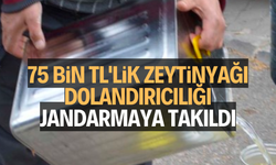 Manisa'da 75 bin TL'lik zeytinyağı vurgunu jandarmaya takıldı