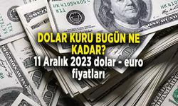 Dolar kuru bugün ne kadar? 11 Aralık 2023 dolar - euro fiyatları