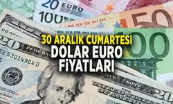 30 ARALIK CUMARTESİ DOLAR EURO FİYATLARI