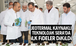 Jeotermal Kaynaklı Teknolojik Sera'da ilk fideler dikildi