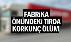 FABRİKA ÖNÜNDEKİ TIRDA KORKUNÇ ÖLÜM