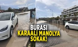 BURASI KARAALİ MANOLYA SOKAK!