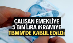 Çalışan emekliye 5 bin lira ikramiye TBMM'de kabul edildi