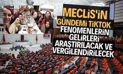 Meclis'ten TikTok adımı: Fenomenlerin gelirleri araştırılacak ve vergilendirilecek