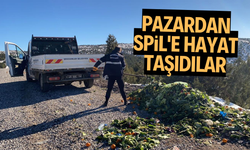 Pazardan Spil'e hayat taşıdılar