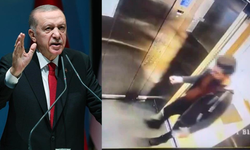 Kediyi vahşice öldüren sanığın tahliyesine Cumhurbaşkanı Erdoğan da tepki göstermiş