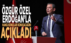 Özgür Özel, Erdoğan’la hangi konuları konuşacağını açıkladı