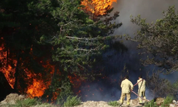 Antalya'da orman yangını! Müdahale devam ediyor