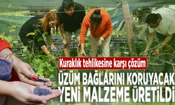 Kuraklık tehlikesine karşı çözüm.... Üzüm bağlarını koruyacak yeni malzeme üretildi