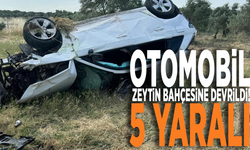 Otomobil zeytin bahçesine devrildi: 5 yaralı!