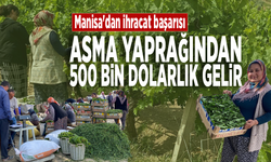 Manisa'dan ihracat başarısı...  Asma yaprağından 500 bin dolarlık gelir