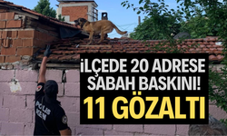 İlçede 20 adrese sabah baskını: 11 gözaltı