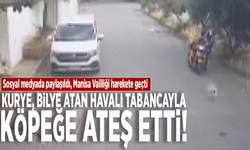 Kurye, bilye atan havalı tabancayla köpeğe ateş etti!