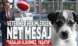 Veteriner Hekimlerden sokak köpekleri açıklaması: "Yasalar öldürmez, yaşatır"