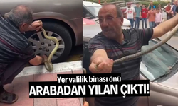 Arabadaki yılanı korkusuzca çıkardı, görenler hayret etti