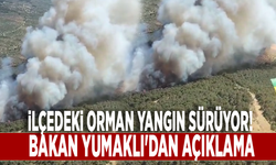 İlçedeki orman yangın sürüyor! Bakan Yumaklı'dan açıklama