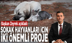 Başkan Zeyrek açıkladı… Sokak hayvanları için iki önemli proje