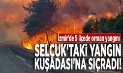 İzmir'de 5 ilçede orman yangını: Selçuk'taki yangın Kuşadası'na sıçradı