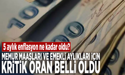 5 aylık enflasyon ne kadar oldu? Memur maaşları ve emekli aylıkları için kritik oran belli oldu