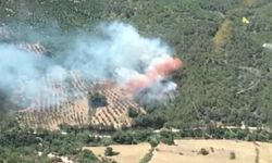 Bergama’daki orman yangınında bir mahalle tahliye edildi