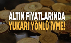 Altında fiyatlarında ivme yukarı yönlü!