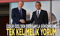 Özgür Özel'den Erdoğan'la görüşmesine tek kelimelik yorum