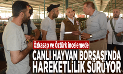 Canlı Hayvan Borsası'nda hareketlilik sürüyor: Özkasap ve Öztürk incelemede