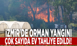 İzmir'de orman yangını: Çok sayıda ev tahliye edildi!