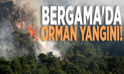 Bergama'da orman yangını!