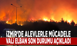 İzmir'de alevlerle mücadele: Vali Elban son durumu açıkladı