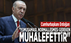 Cumhurbaşkanı Erdoğan: "Yumuşaması, normalleşmesi gereken muhalefettir"