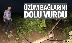 Fırtına minarenin külahını uçurdu, dolu üzüm bağlarını vurdu