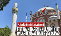 Mahallenin minik mucizeleri... Fırtına minarenin külahını yıktı, onların yuvasına bir şey olmadı