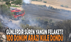 Günlerdir süren yangın felaketi! 100 dönüm arazi küle döndü