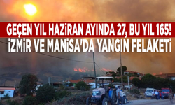 Geçen yıl haziran ayında  27, bu yıl 165! İzmir ve Manisa'da yangın felaketi!