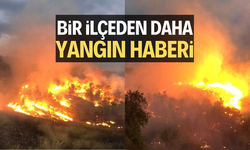 İlçede makilik yangını
